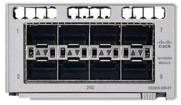 C9300X-NM-8Y — تصویر ماژول در دیتاشیت اصلی Cisco 9300، بایگانی ۲۰۲۲